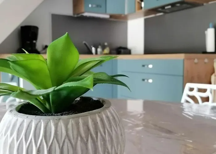 Le Bleu Du Sud 別荘 *